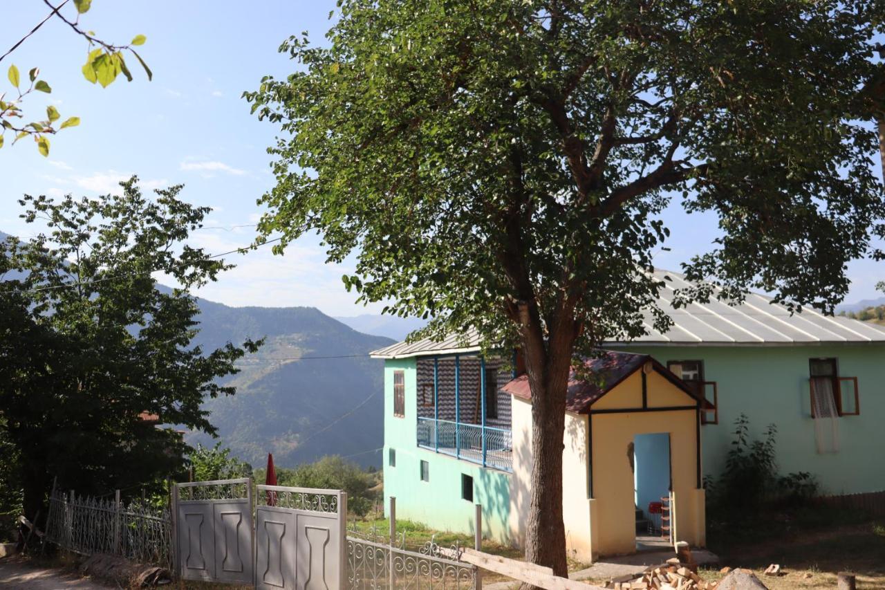 Guest House Chveni Ezo Khulo 外观 照片